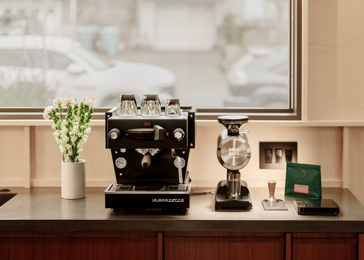 Mazzer Philos Single Dose Coffee Grinder