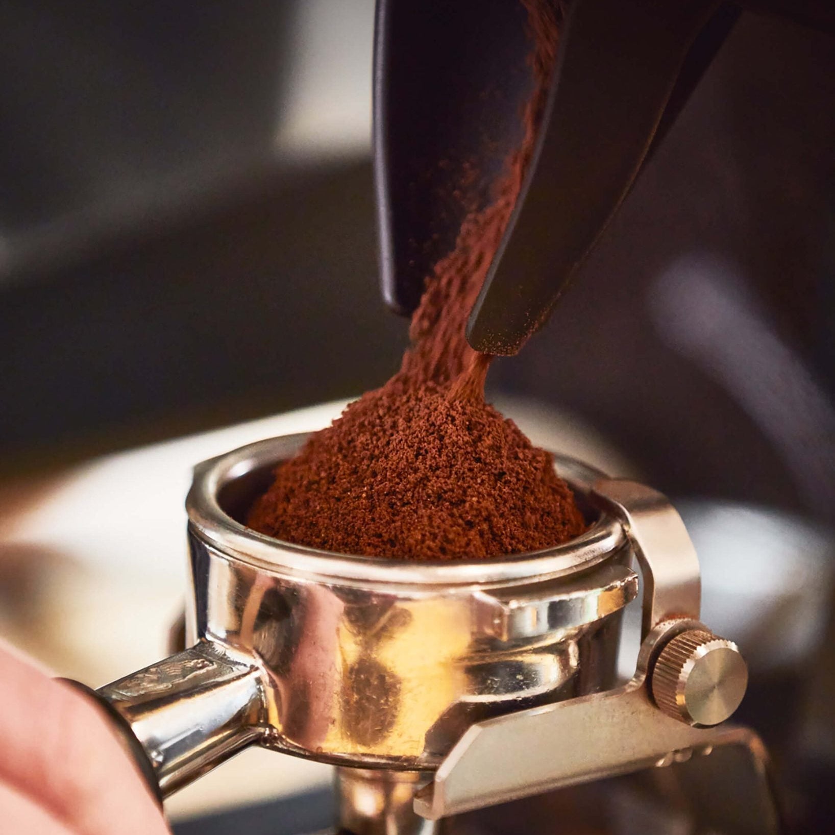 La Marzocco Swan 商用意式咖啡磨豆機